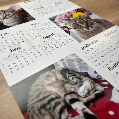 Calendar Magnetic Personalizat A4