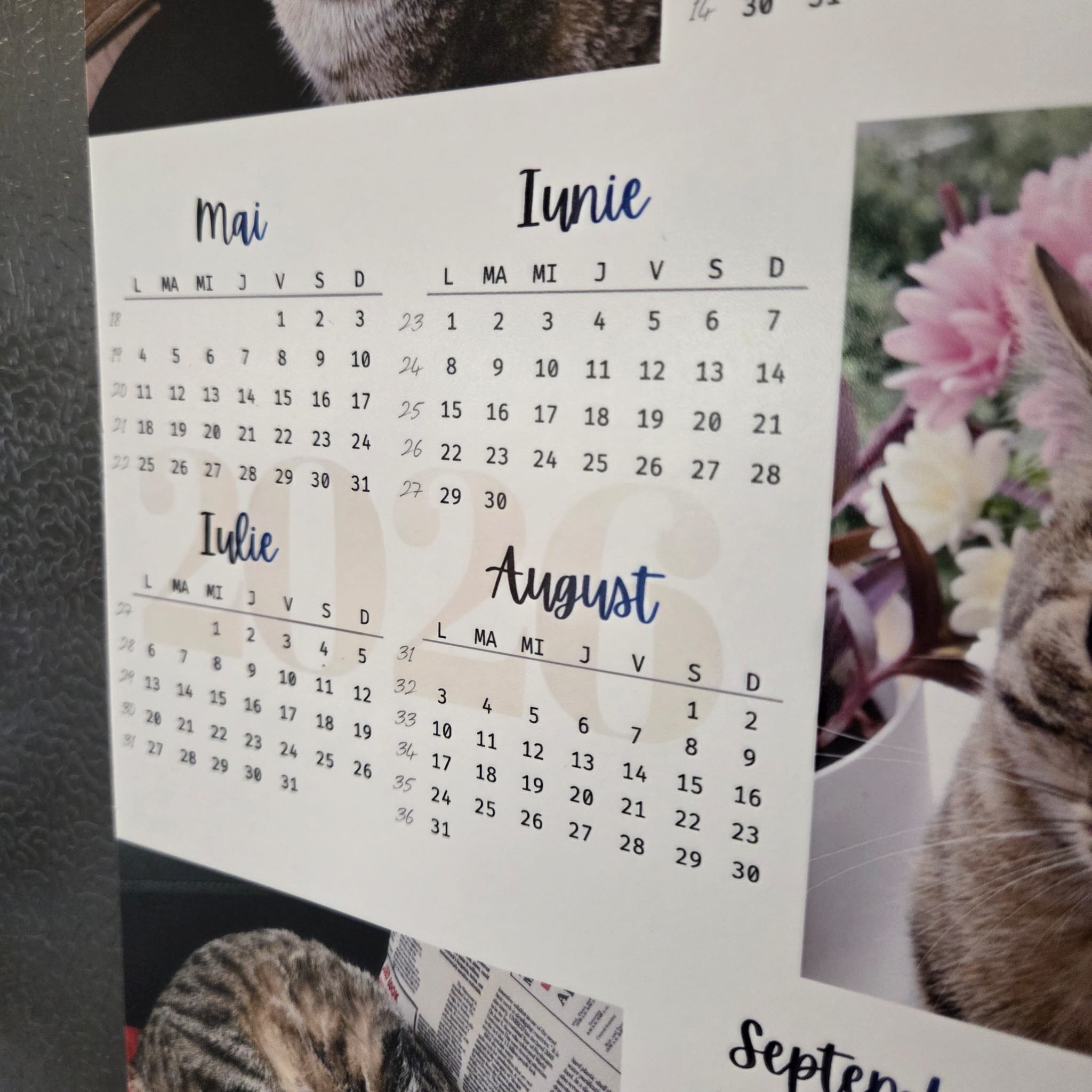 Calendar Magnetic Personalizat A4