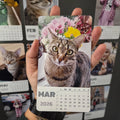 Calendar magnetic personalizat cu 12 poze
