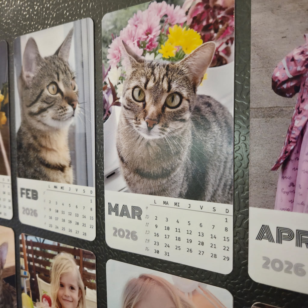 Calendar magnetic personalizat cu 12 poze