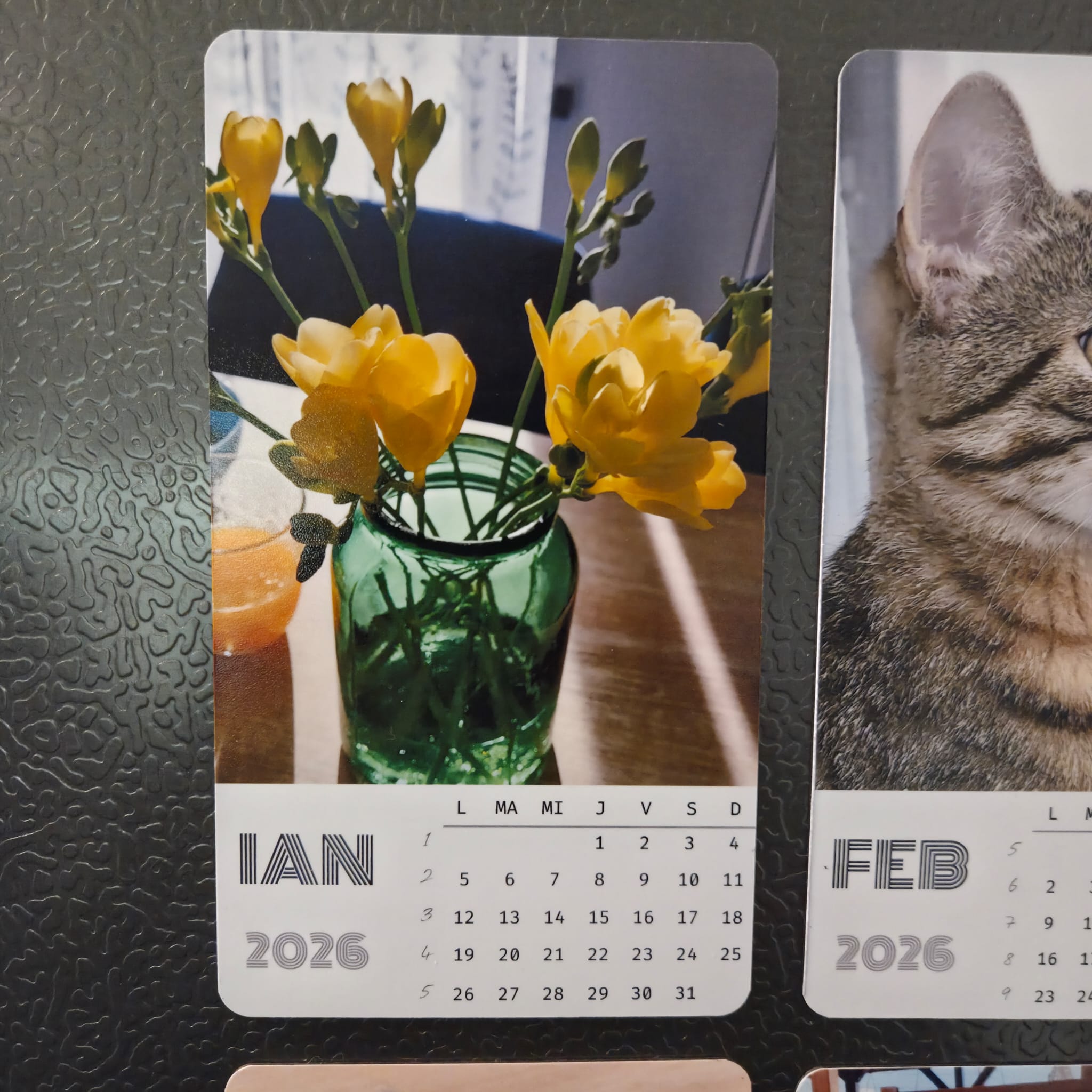 Calendar magnetic personalizat cu 12 poze