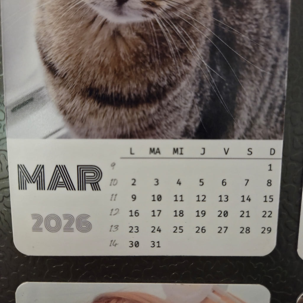 Calendar magnetic personalizat cu 12 poze