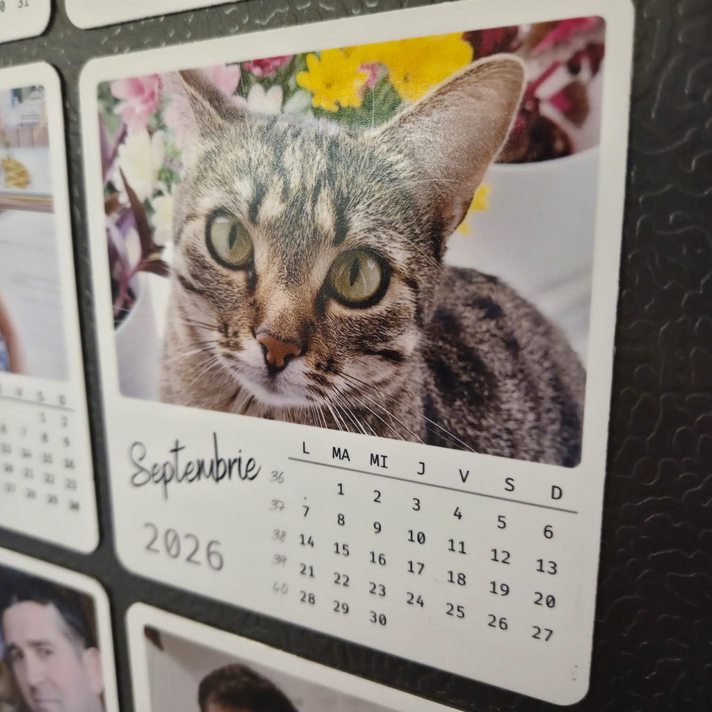 Calendar magnetic personalizat cu 12 poze